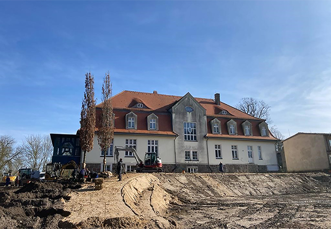 Zwei Bäume werden links neben ein großes Haus gepflanzt