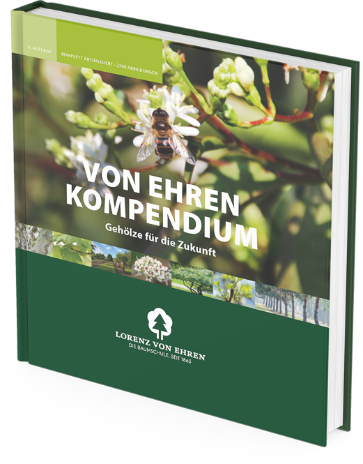 LvE Kompendium