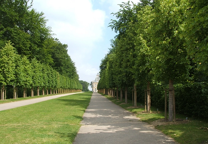 Schlosspark 
