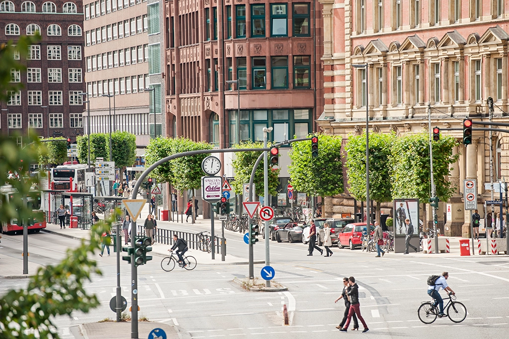 Rechteckige Platanen in der Dammtorstraße 