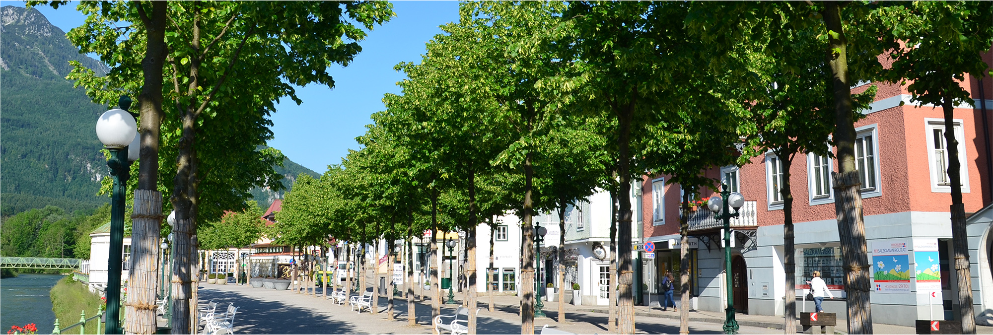 Esplanade Bad Ischl mit Bäumen der Baumschule Lorenz von Ehren