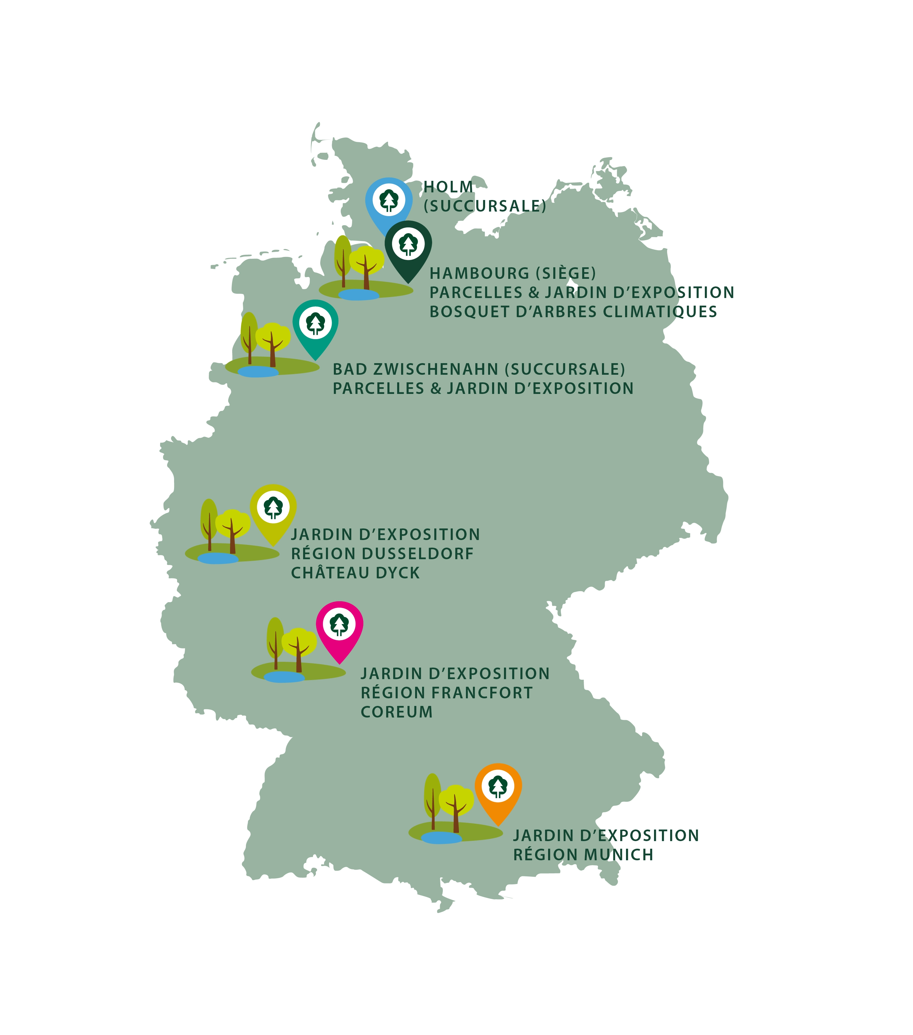 The locations of the Lorenz von Ehren nursery, one of the leading nurseries in Europe. Whether in Hamburg, Düsseldorf, Frankfurt, Munich or Berlin, we offer you the entire range of shrubs from our own production or as a dealer.