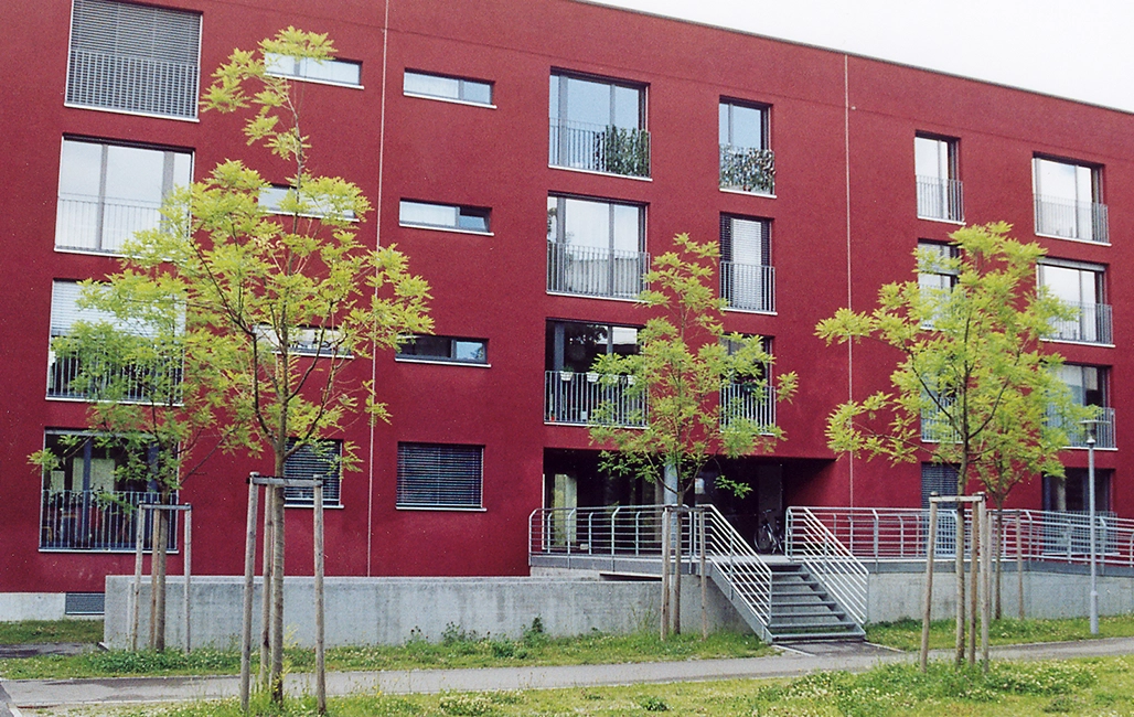 Drei junge Alleebäume stehen vor einem großen Gebäude mit roter Fassade