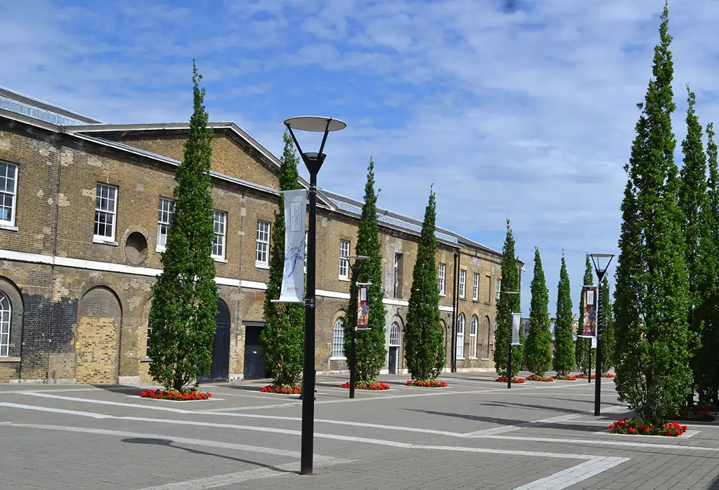 Ansicht der bis zu neun Meter hohen Säulen-Eichen (Quercus robur ‘Fastigiata Koster‘) am Royal Arsenal in London, die das historische Gebäude eindrucksvoll umrahmen und Respekt zollen.