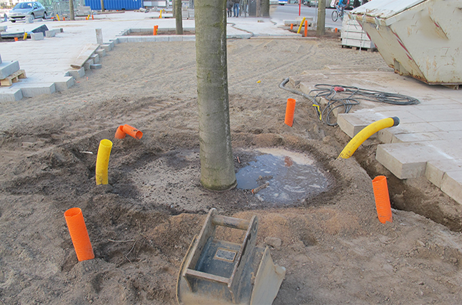 Handling of trees and shrubs on the construction site Handling of trees and shrubs on the construction site