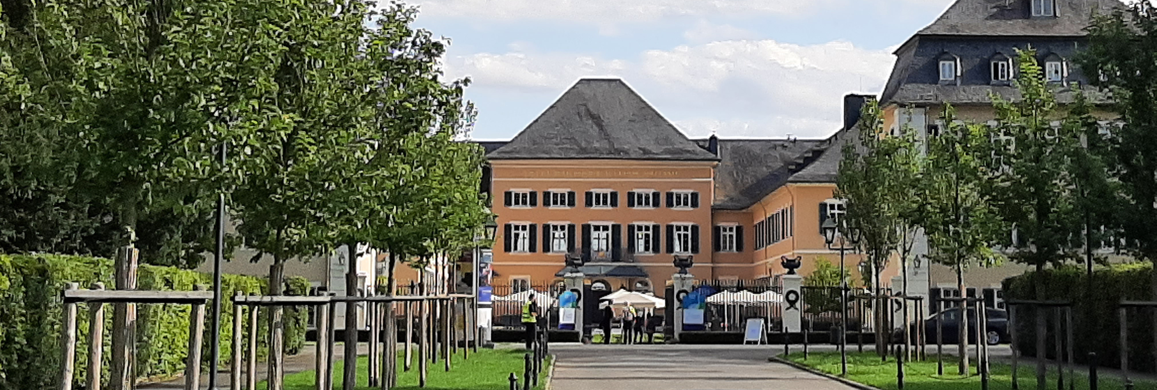 Projekt LvE Landgut Alleebäume Rechts und links neben der Straße die aufs Schloss zuführt, stehen frisch gepflanzte Bäume