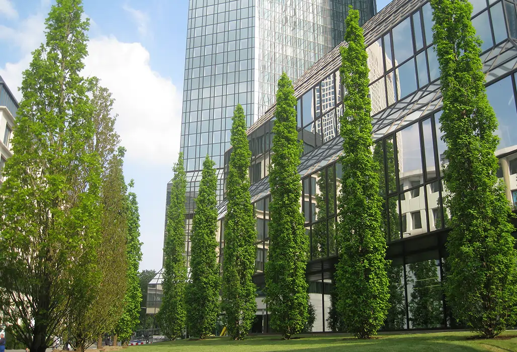 Pflanzen in Säulenform, gestaltet für die Glasfassade der Deutschen Bank 2011 in Frankfurt.