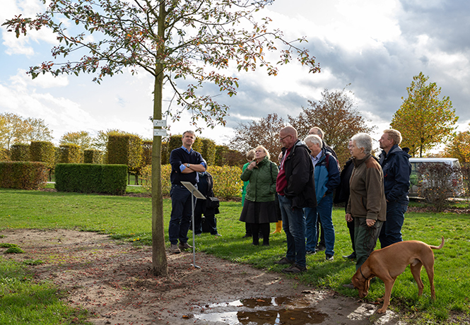 Besuchergruppe steht um einen Baum