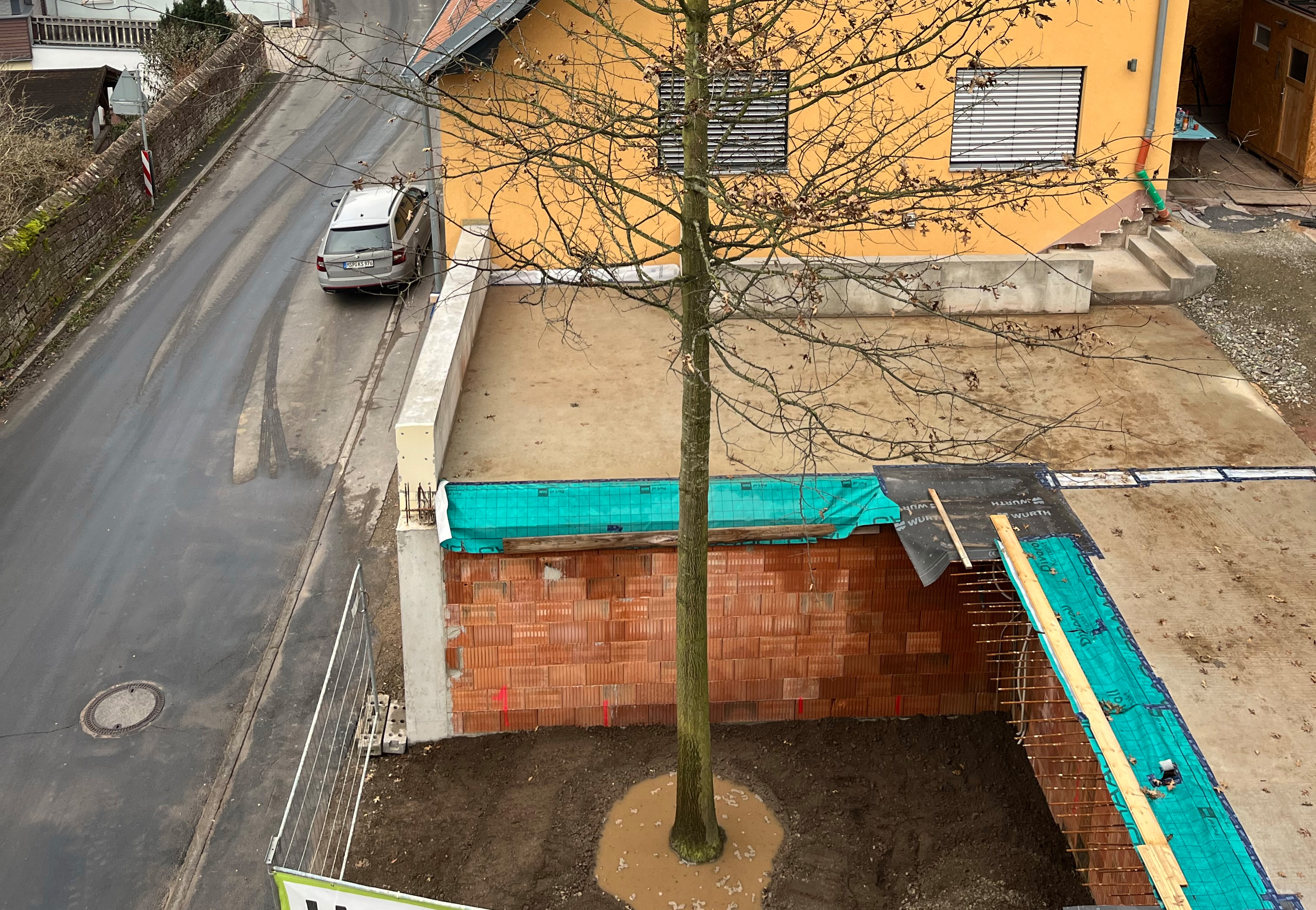 Baum steht in Pflanzgrube