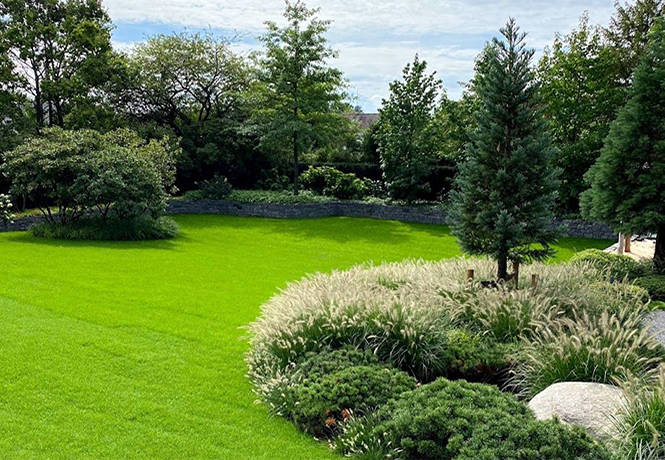 Großer Garten in Sommer mit Rabatten aus Gräsern und Urweltbäumen im Sommer