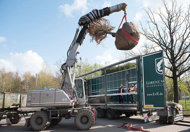 Unloading on the construction site