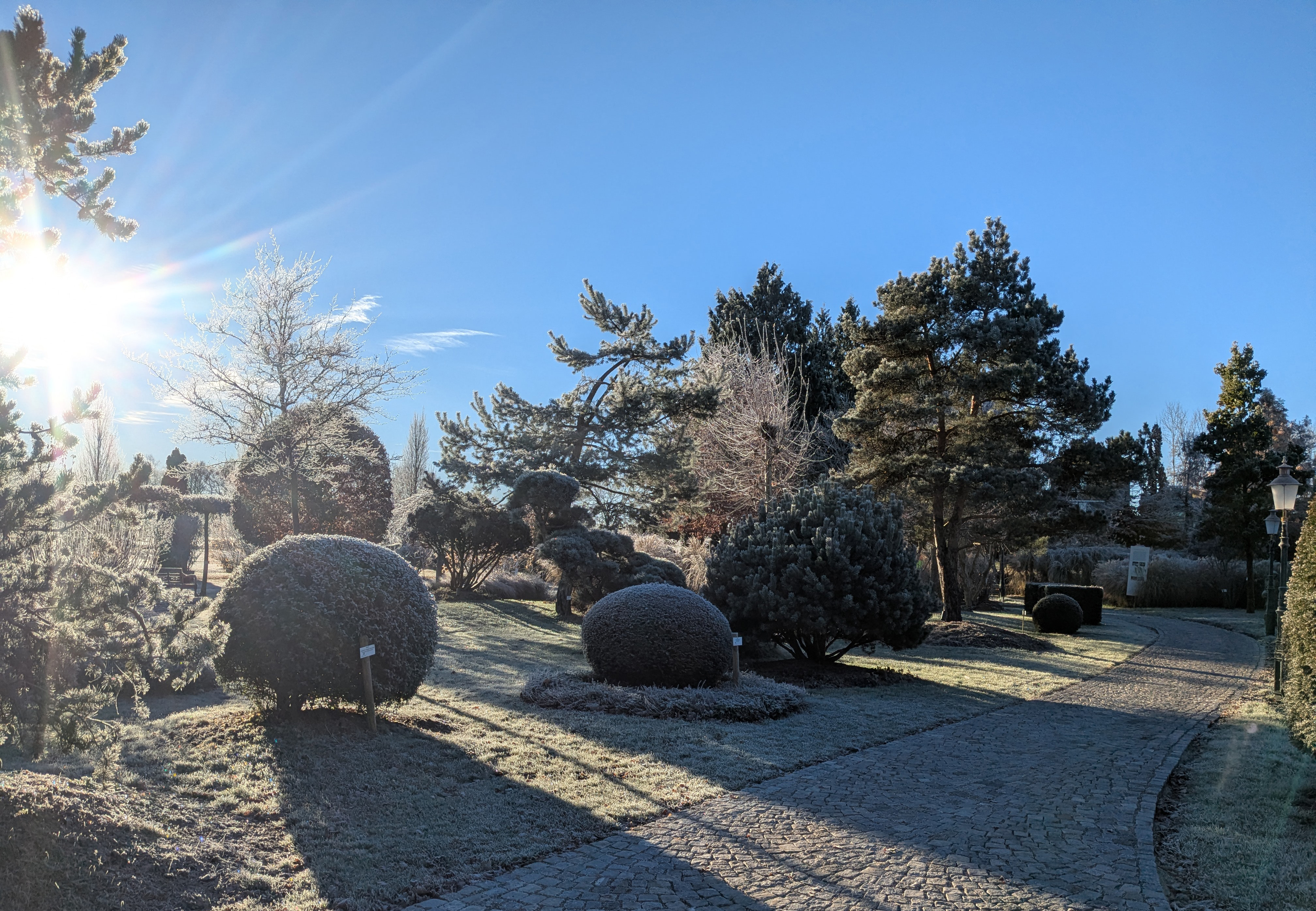 WInter in einem Garten