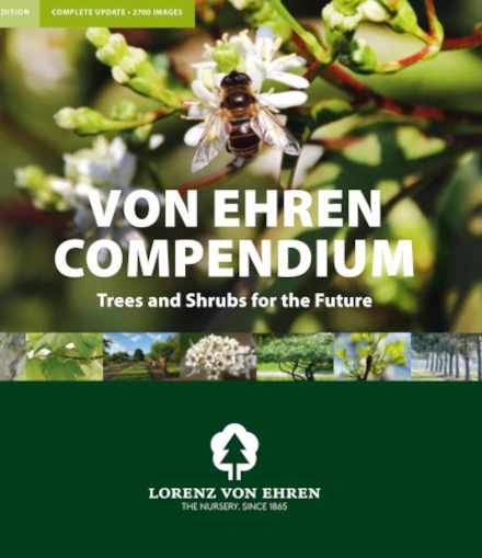 The von Ehren Compendium impresses with its detailed plant descriptions, partly large-format pictures and expertise in all questions concerning plant use, planning, pH-value compatibility, climate change suitability and bee woody plants.