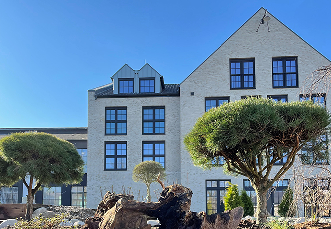 zwei große, knorrige Schirmbäume vor einem modernen Haus