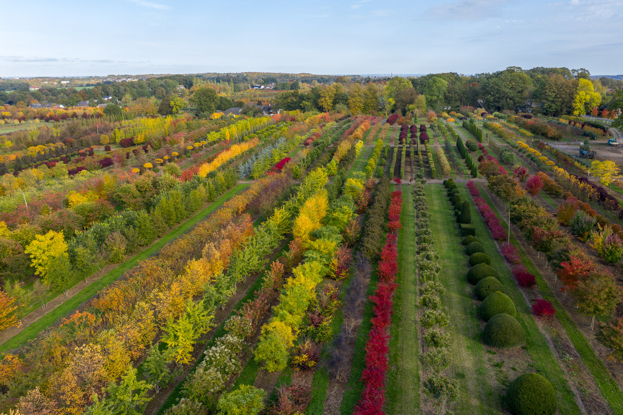 Groß- und Alleebäumen, Bonsai und Solitärs, Formgehölzen, Rhododendron, Heckenelementen, Obstbäumen und Koniferen werden auf insgesamt 600ha in Hamburg und Bad Zwischenahn angebaut.