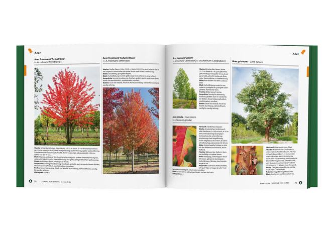 LvE Kompendium Das von Ehren-Kompendium mit Infos zu Pflanzeneignung, Klimawandelverträglichkeit und bienenfreundlichen Gehölzen – mit großformatigen Bildern.