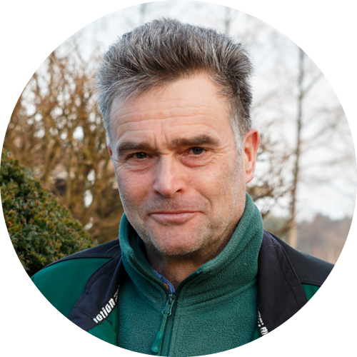 Ash trees for the city